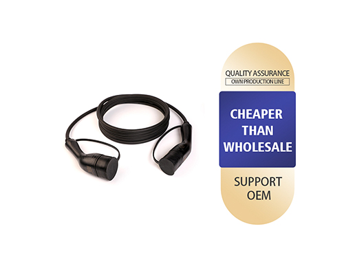 Dual-Gun Type 2 EV Charger – European Standard