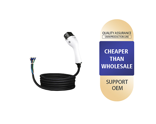 Single-Gun Type 2 EV Charger